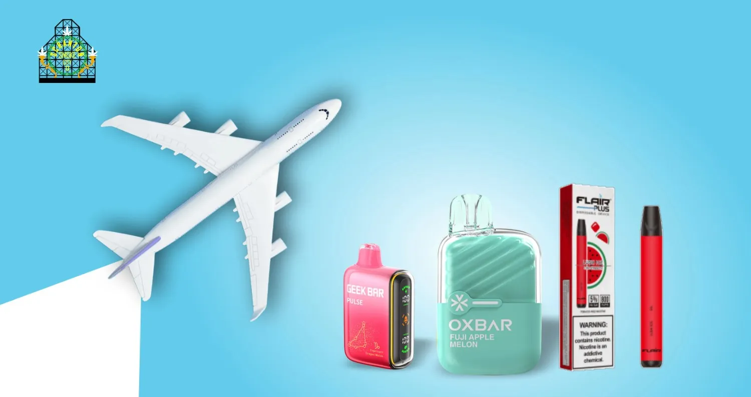 Travel With Vape: Can I Bring Disposable Vapes on a Plane?